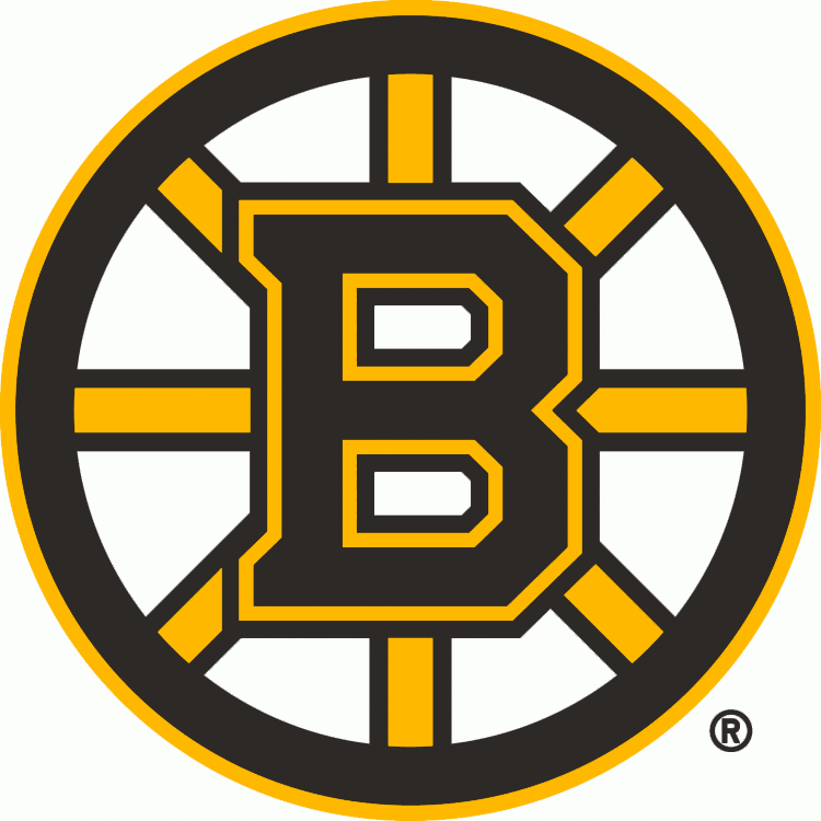 Boston Bruins T shirt DIY iron-ons